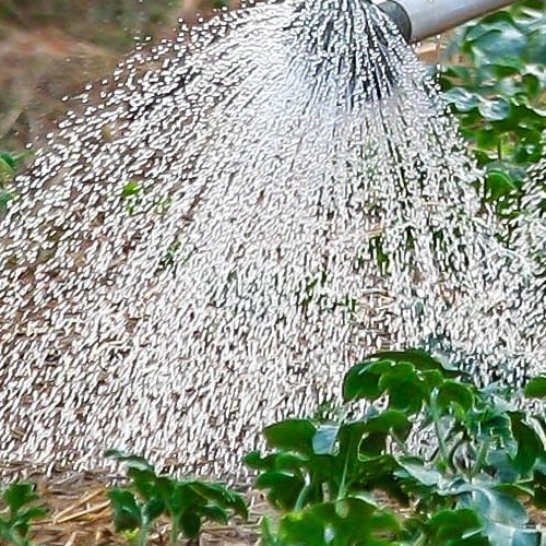 modern_isulator_water_conservation_and_harvesting